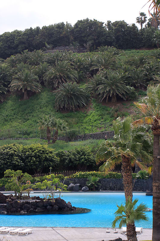 The north side of El Lazareto planted with date palms, and photographed from the Parque Maritimo Cesar Manrique