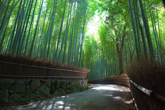 Arashiyama's "Sagano Bamboo Forest" is located near Togetsu Bridge and is an iconic symbol of Japan. It is worth preparing yourself for the fact that the bamboo forest is not very long, a point which underwhelms some people.