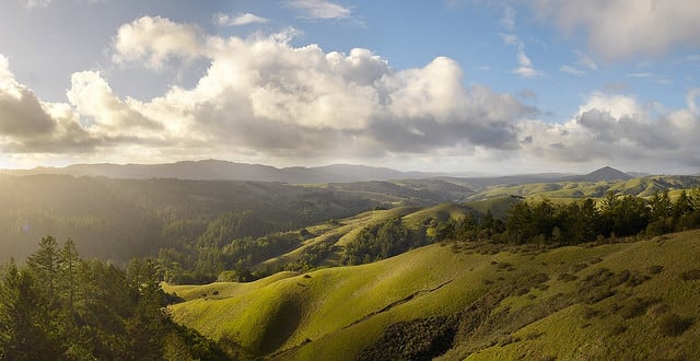 Looking North From Barnabe Fire Road in Samuel P. Taylor Park