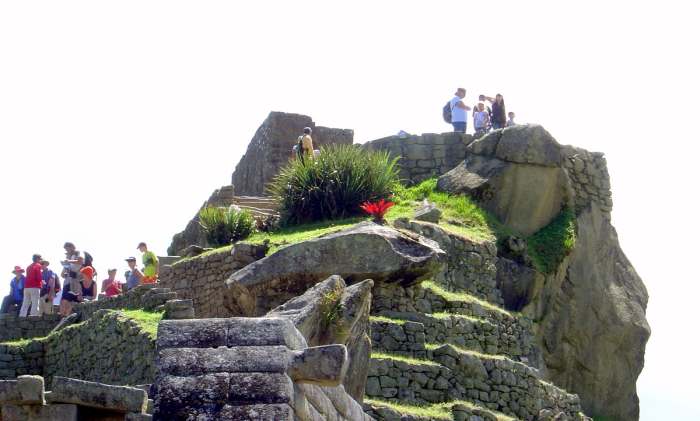 Travelers explore the ruins of Machu Picchu, adorned with brilliant green grass and vivid native flowers.