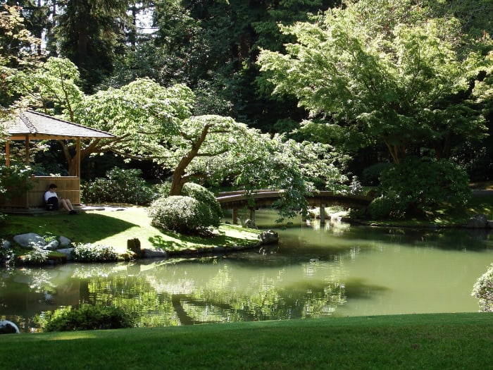 On the left, someone is reading a book outside the family pavilion. The 77-log bridge is located in the centre of the photo.