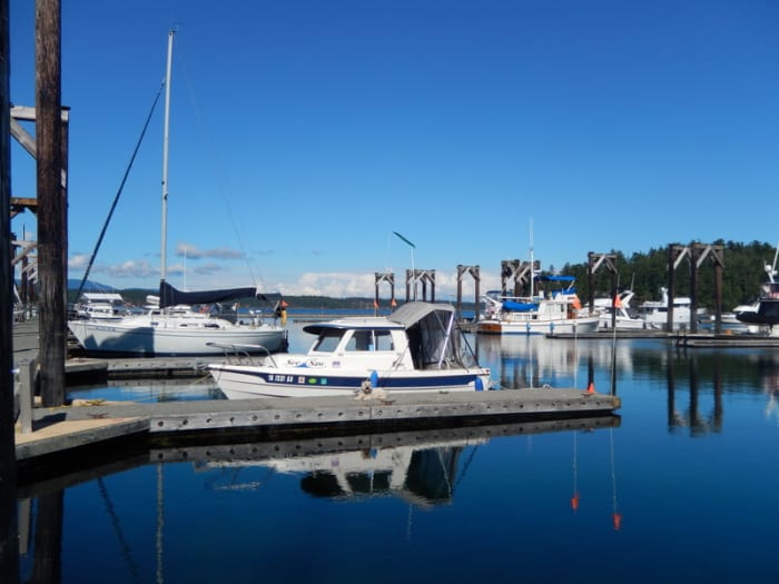 Our dog, Lindy, enjoying the view from the dock beside our 16' C-Dory, See-Saw, in beautiful Friday Harbor Marina.