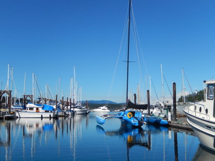 Many fascinating boats will likely be docked in the Friday Harbor Marina, including large yachts, cabin cruisers, and perhaps even a brilliant blue catamaran.