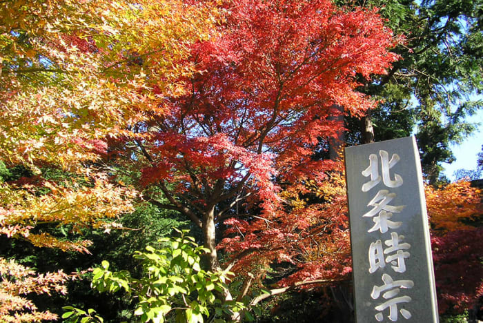 The Land of the Rising Sun is breath taking during spring and autumn. But be ready for crowds, crowds, and crowds.
