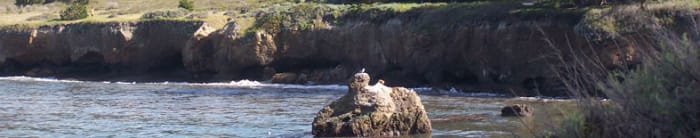 Point Lobos State Natural Reserve in Big Sur. Despite road closures on Highway 1, the park is still accessible from the north.