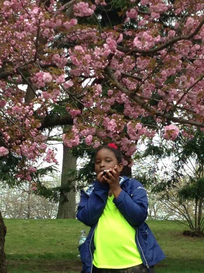Brooklyn Botanical Cherry Blossoms will inspire your kids to stop and smell the flowers in the middle of the concrete jungle that is New York City.
