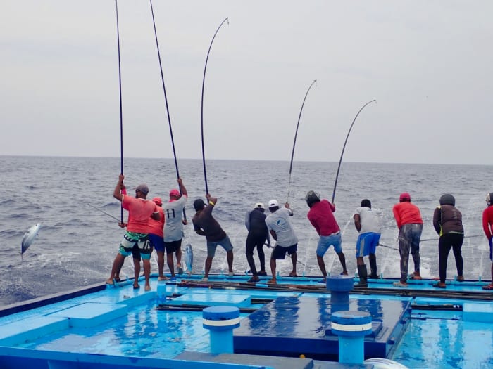 la Pesca en las Maldivas