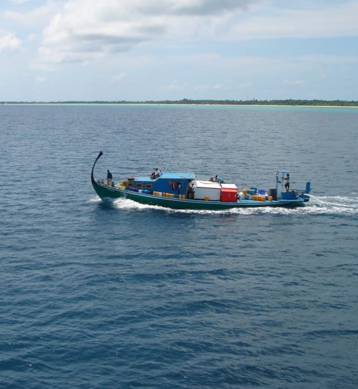 Un Dhoni Maldiviano
