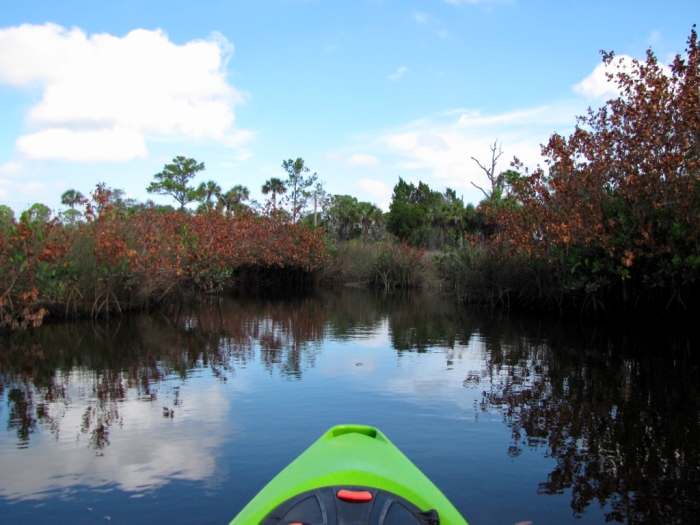 Florida Kayaking Werner Boyce Salt Springs State Park WanderWisdom