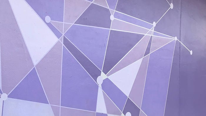 The purple wall in the Magic Kingdom. I had no idea this was a thing, but apparently lots of people take their pictures at this spot.