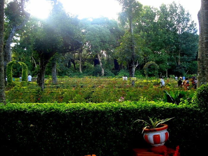 Rose Garden, Yercaud