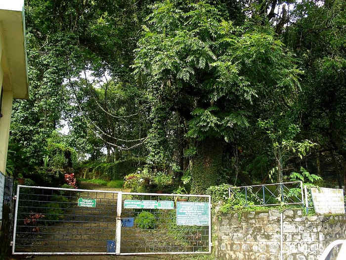 Botanical Garden, Yercaud