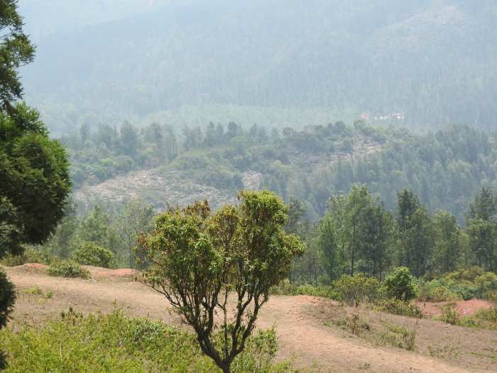 A view from Shevaroy Temple