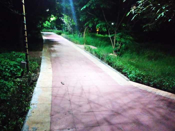 Kotturpuram Tree Park at night