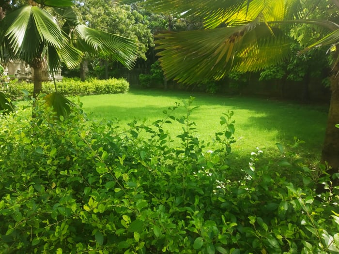 Admire Nature at VGP Universal Kingdom
