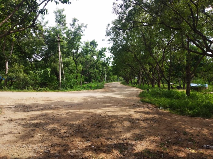 Nature Walk, Irukkankudi