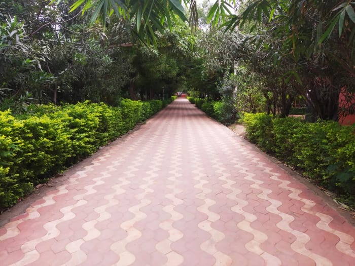 Ramadoss Memorial Park