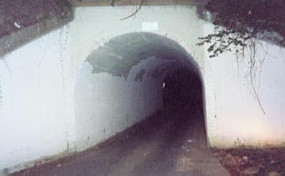 The Goatman Bridge, a popular spot where people often go in search of the legend. Also known at The Bunnyman Bridge.