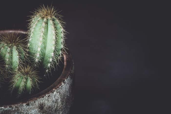 Don't be fooled by your Scorpio man's seemingly prickly demeanor; he's probably just deep in thought.