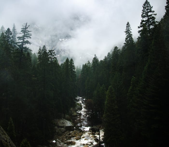 What does it mean if you dream about a river? Often, the river represents the flow or direction of the dreamer's life.