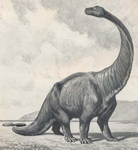 Could some dinosaurs still be alive today, awaiting rediscovery in the dark forests of the world?