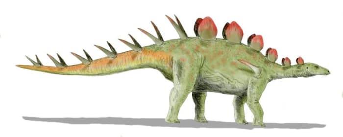 An artist's rendition of Chialingosaurus, an example of a stegosaur which may have looked similar to eyewitness accounts of Mbielu-mbielu-mbielu.