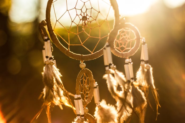 A spiderweb is the ultimate dreamcatcher, which originated from the Ojibwa Chippewa tribe. The Ojibwe word for dreamcatcher, asabikeshiinh, means spider.
