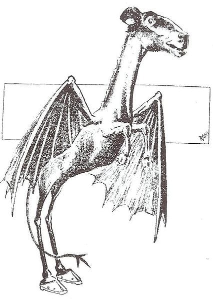 Do sightings of the Jersey Devil prove demons are real?