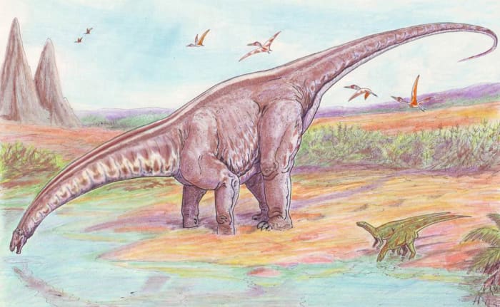 Paleontologists now know that sauropods like Apatosaurus (formerly Brontosaurus) likely did not live in swamps and lakes.