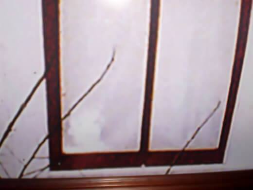 Spirit of Boyd or Paul Moore (bottom left window corner). Image shared on barn tackboard at Villisca Ax Murder House. Rephotographed.