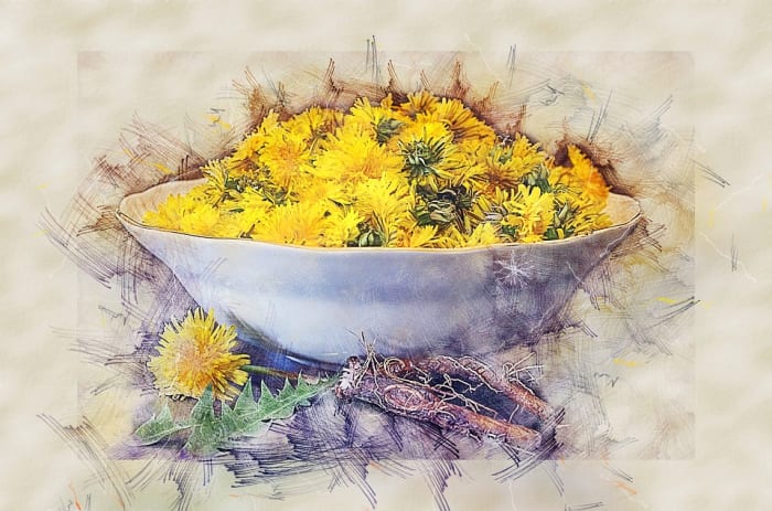 They're beneficial to your garden, all parts are edible, medicinal, and they have a long history in magic. Remind me why we call them weeds and try to get rid of them again?