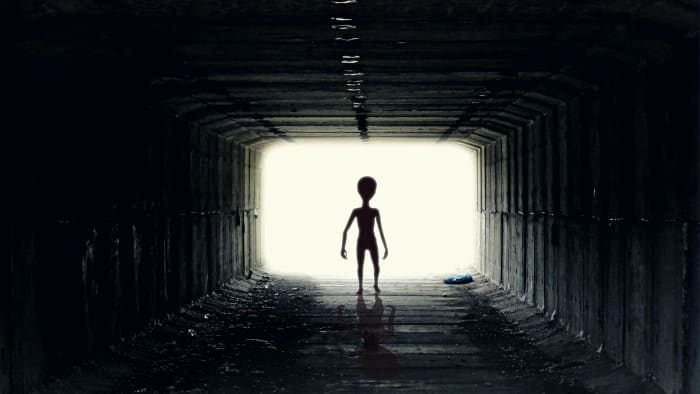 A recent string of declassified documents, leaked memos, and an eye-witness testimony has confirmed what we have all known: that aliens exist and they have visited this planet.