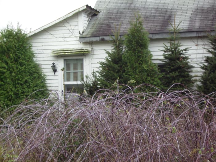 Another view of the Hooker brothers' former home. The house has fallen into disrepair over the 30 years since the tragic murder.