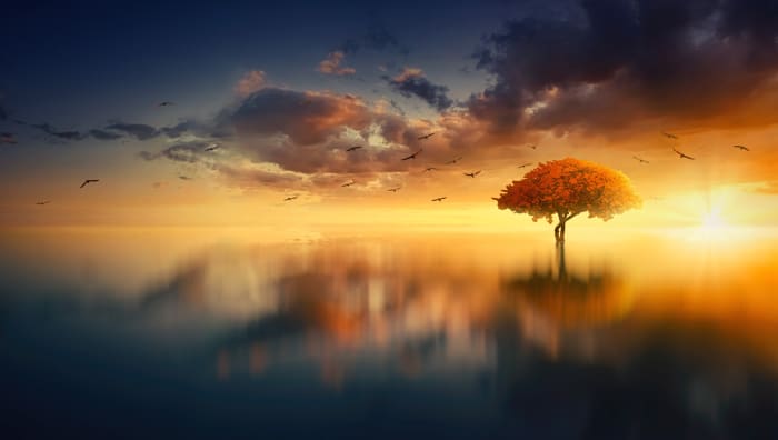 It's not much of a stretch to associate the sun with life and vitality since it is a necessary ingredient for both.