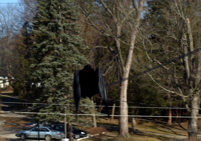 Skeptics believe that most, if not all, reported Mothman sightings are simply hoaxes.