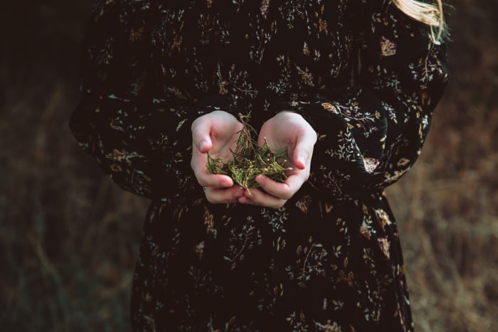 Working with the lunar cycle could be compared to planting and harvesting. Photo by Brennan Burling on Unsplash.