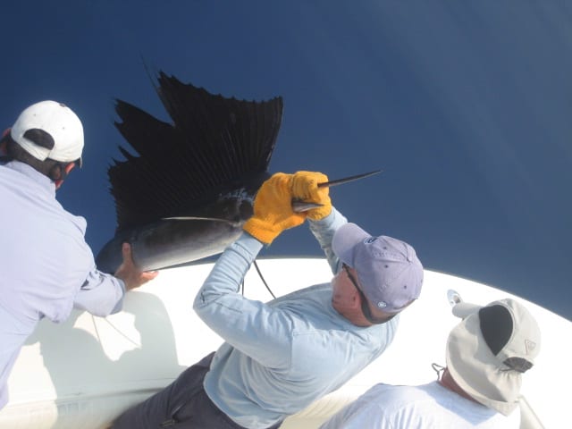 Fishing in the Florida Keys. Scuba diving is also popular with visitors to the Keys. The area's waters are rich in marine animal and plant life and you can find sea turtles, sharks, dolphins, and many strange and beautiful tropical fish.