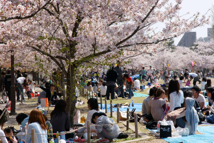 10-valuable-lessons-to-be-learned-from-japanese-culture