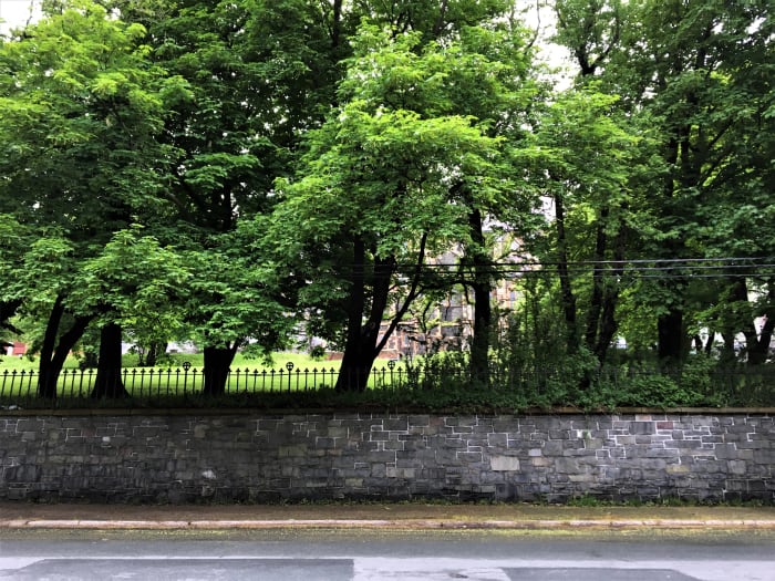 The Area in Front of the Anglican Cathedral, Where the Workmen had Posed for the Picture, as it Looks Today.