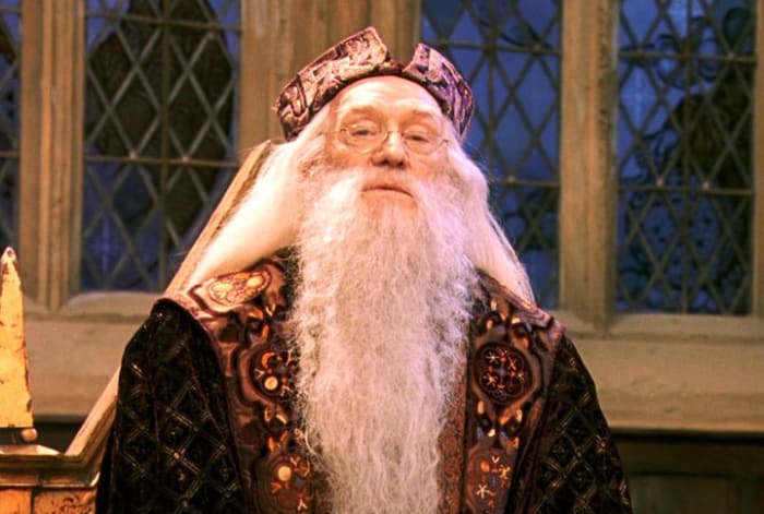 Some fans still argue that Richard Harris played the best version of Dumbledore. I personally preferred Harris' portrayal.