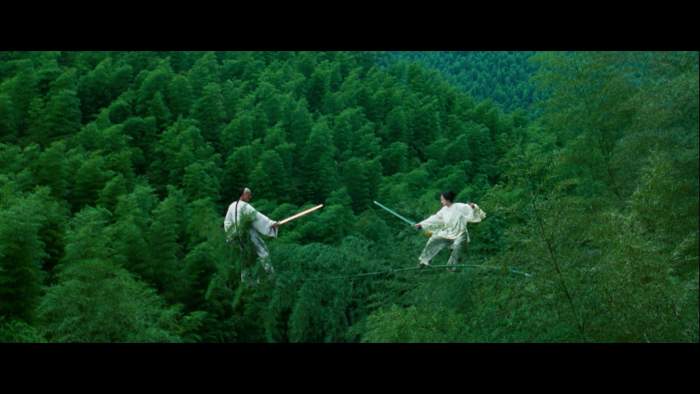 Scenes like this from Crouching Tiger Hidden Dragon to western eyes seem far fetched. This particular film was one of the few times it was embraced.