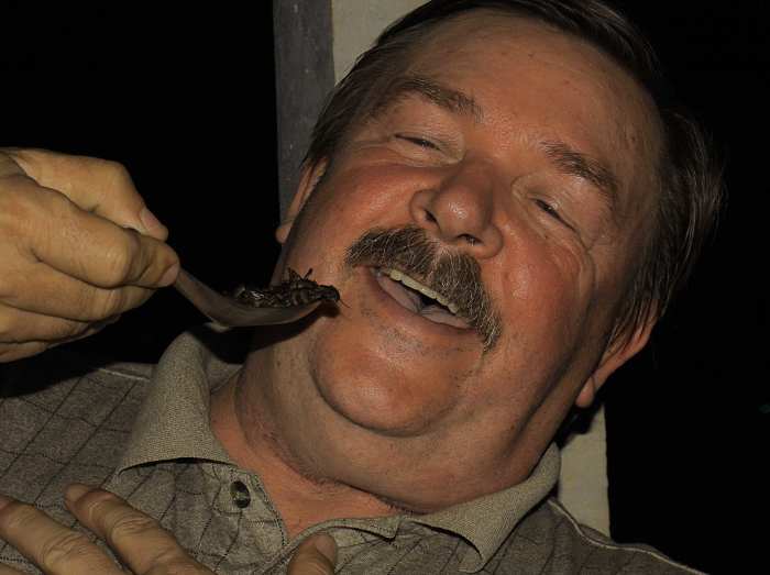 How not to eat insects. Dean takes evasive action as his wife offers a loving spoonful of crickets!
