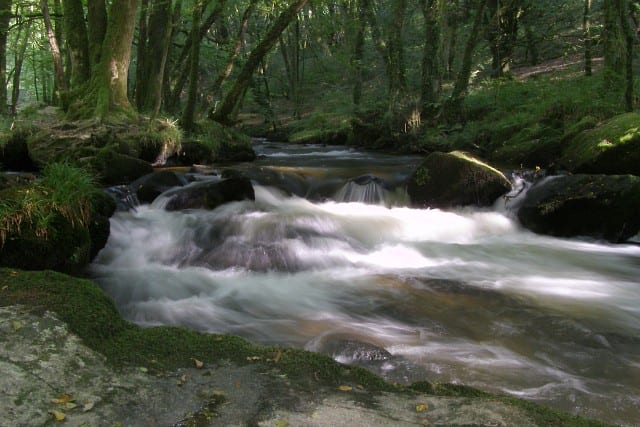 Not a beach in sight! Peace and tranquillity reign at Golitha Falls near Bodmin Moor.