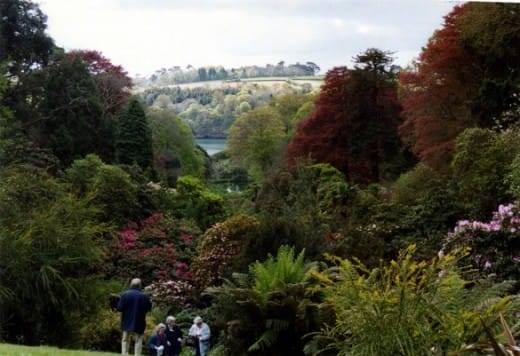 The exquisitely cultivated Trebah garden allows visitors to explore an enchanting valley of subtropical flora.
