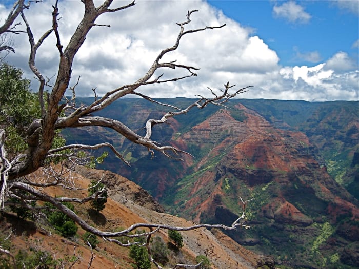 Waimea Canyon's arid landscape is a contrast to the tropical greenery on the opposite side of the mountain.