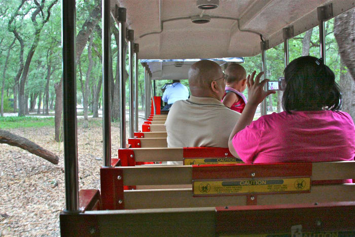 The mini-train ride through the zoo and around it's perimeter is a must-do for kids of all ages (yes, that means Mom & Dad, too!).