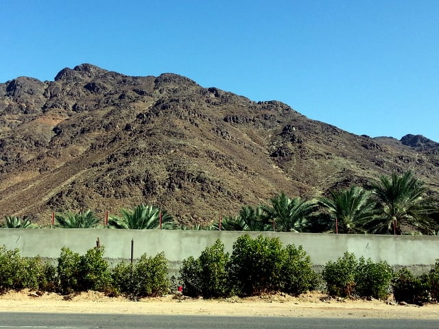 The journey to Wadi al Jinn, Madinah's Magnetic Hill are full of date palm plantations, on both sides of the road.