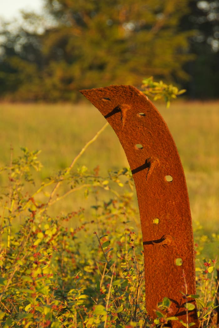 There are a lot of antiquities and relics around Brawner Farm for those who like abstract photographs. I keep thinking about how this piece ended up in the field.