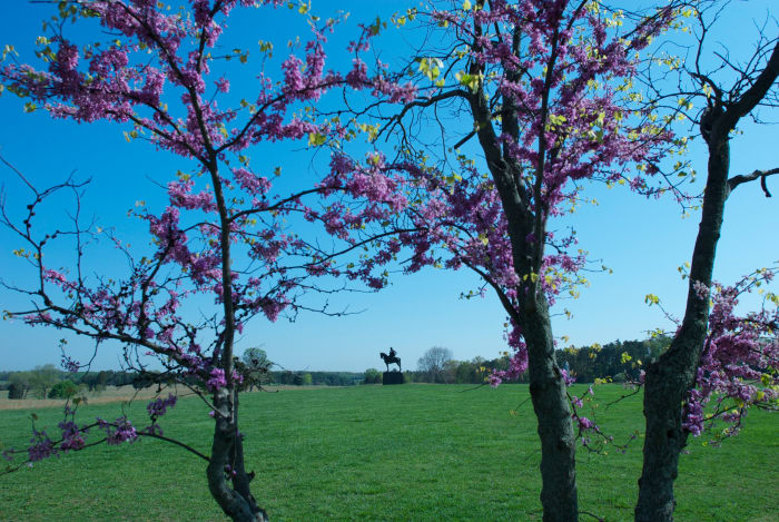 Early Spring at the Visitor's Center is a great opportunity to capture some of the blossoms on the trees with the backdrop of the memorials in the distance.