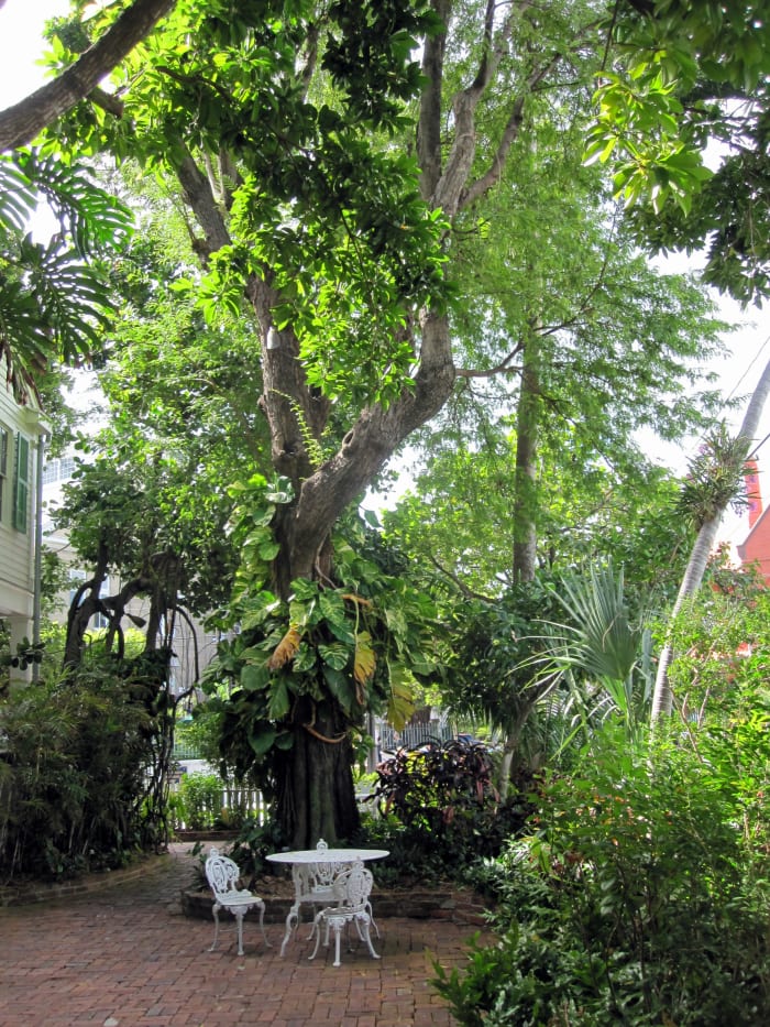 Audubon House And Tropical Gardens In Key West, FL - WanderWisdom